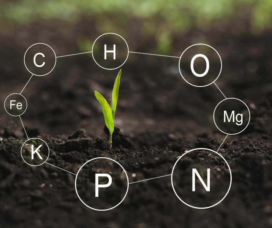 Soil Health